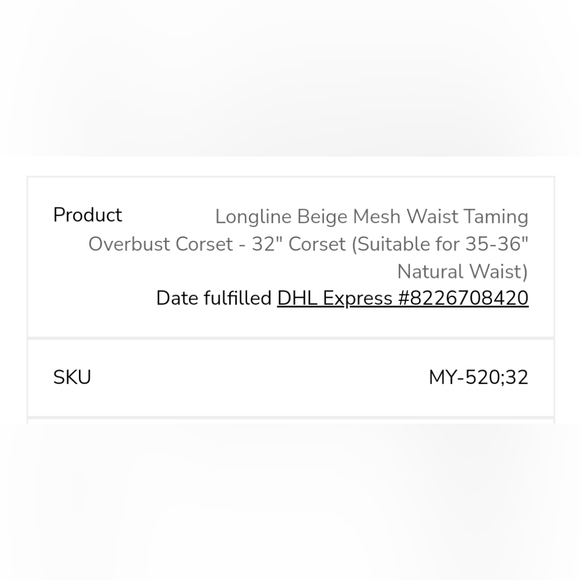 LONGLINE BEIGE MESH WAIST TAMING OVERBUST CORSET - Picture 5 of 5